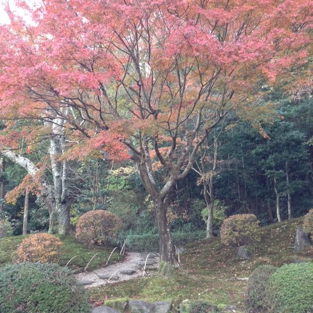 Image of - November 2017