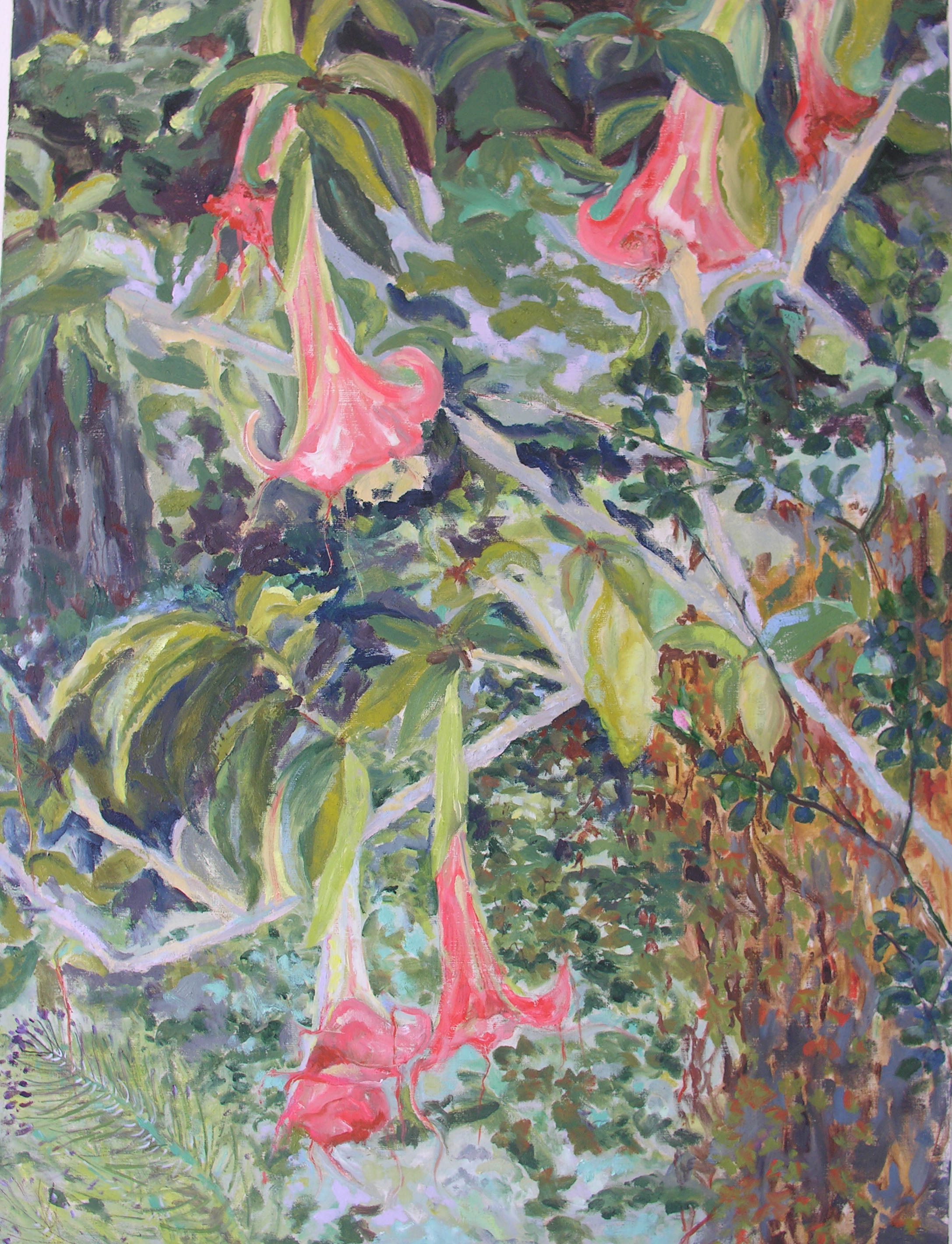 Image of - Brugmansia, Rose, Scilla