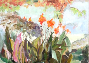 Image of - Canna Lilies in Autumn