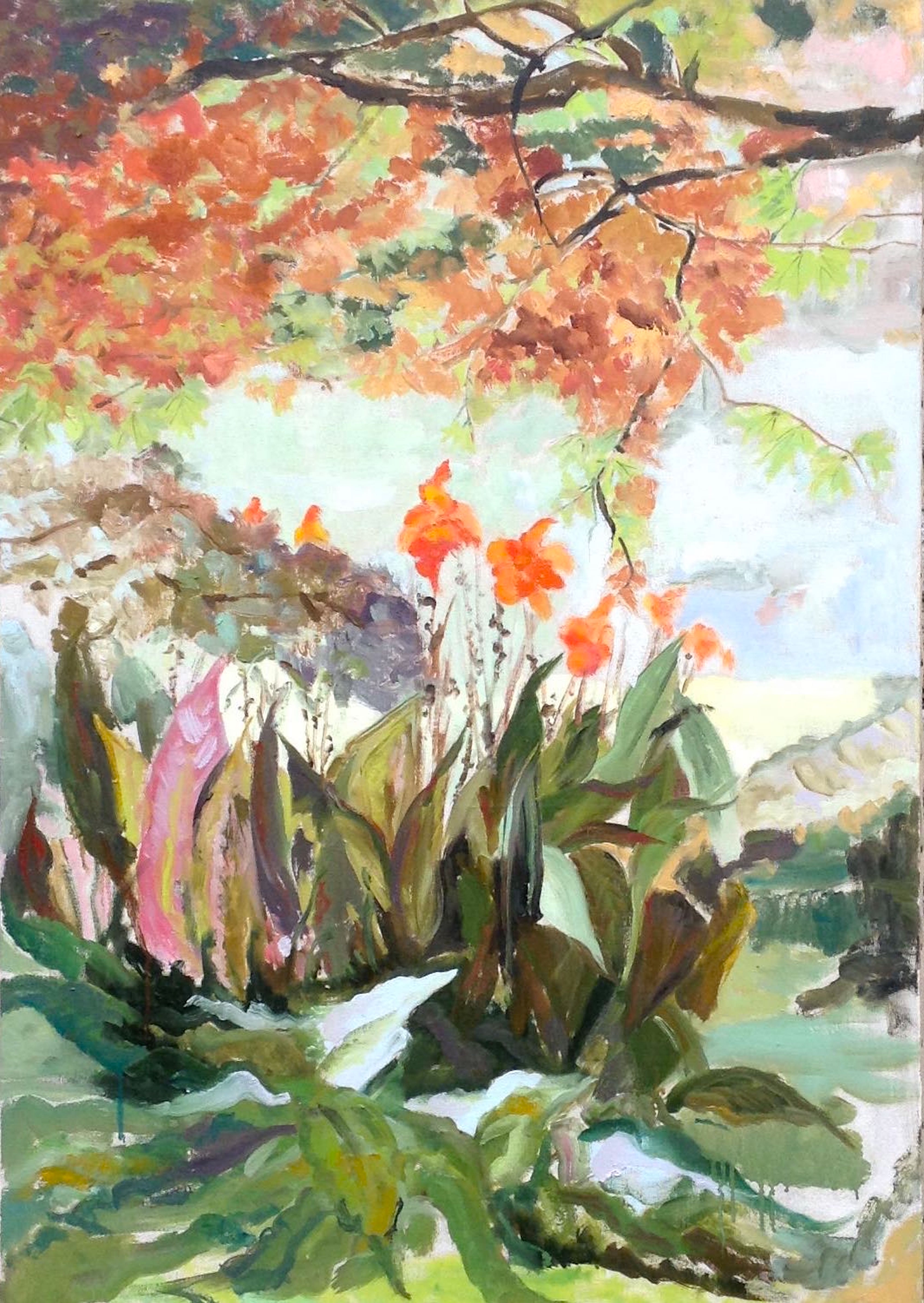 Image of - Canna Lilies in Autumn