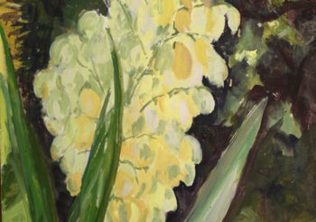 Image of - Etude Fleur de Yucca (Study Yucca Flower)