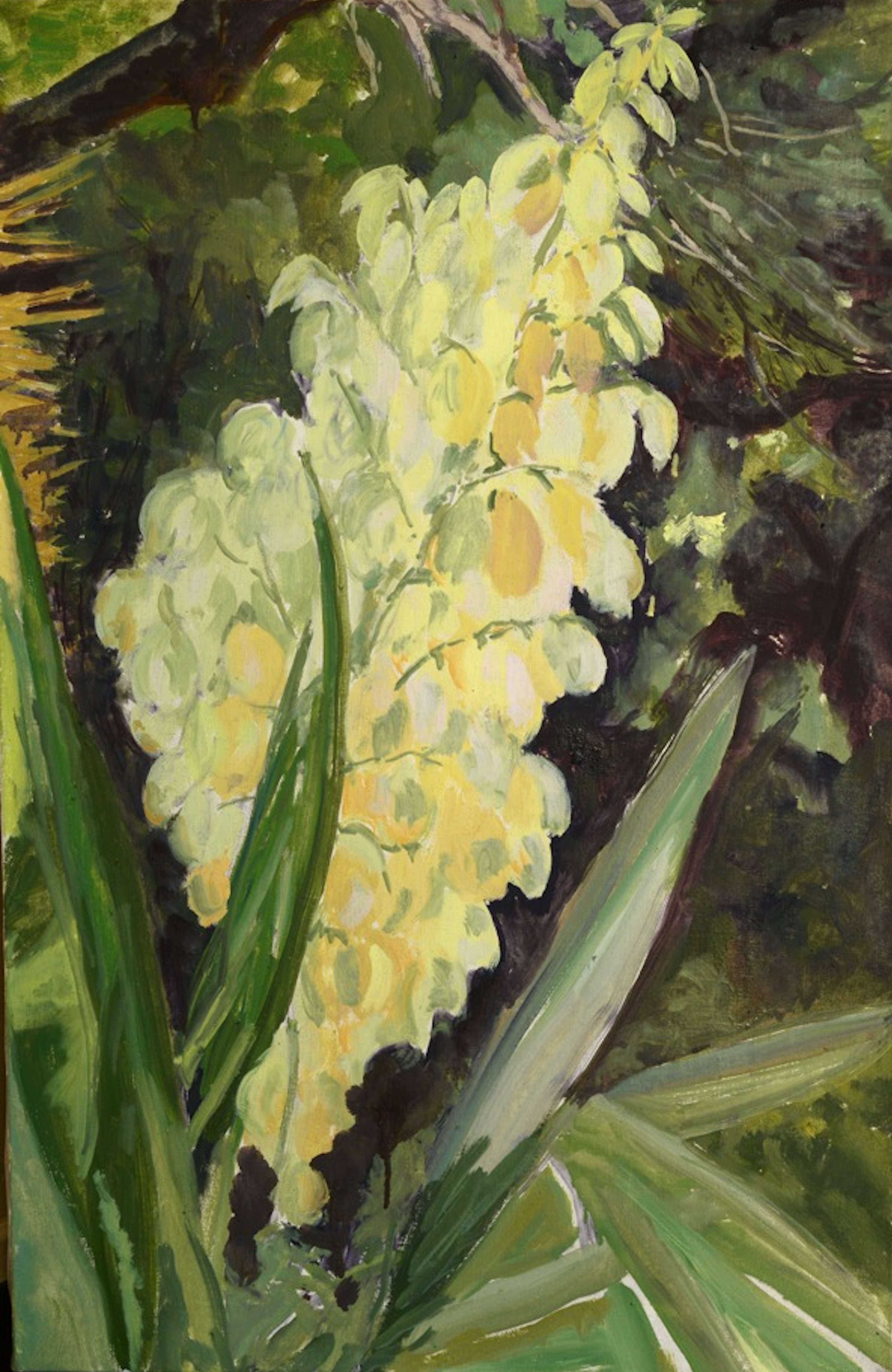 Image of - Etude Fleur de Yucca (Study Yucca Flower)