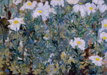 Image of - Matilija Poppies