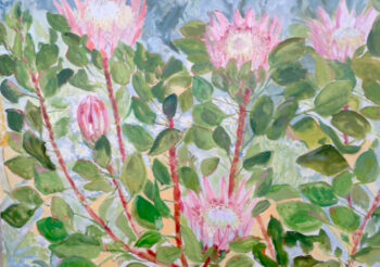 Image of - King Protea and Marguerite
