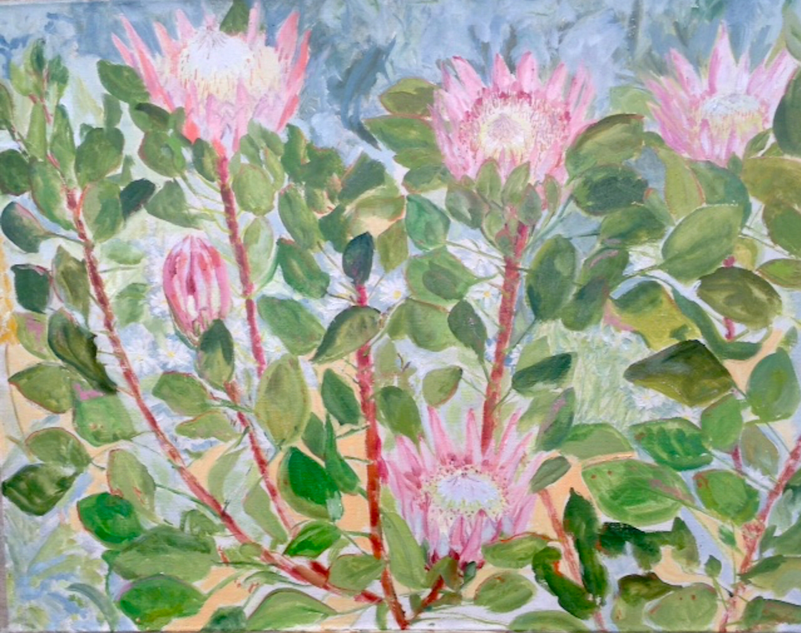 Image of - King Protea and Marguerite