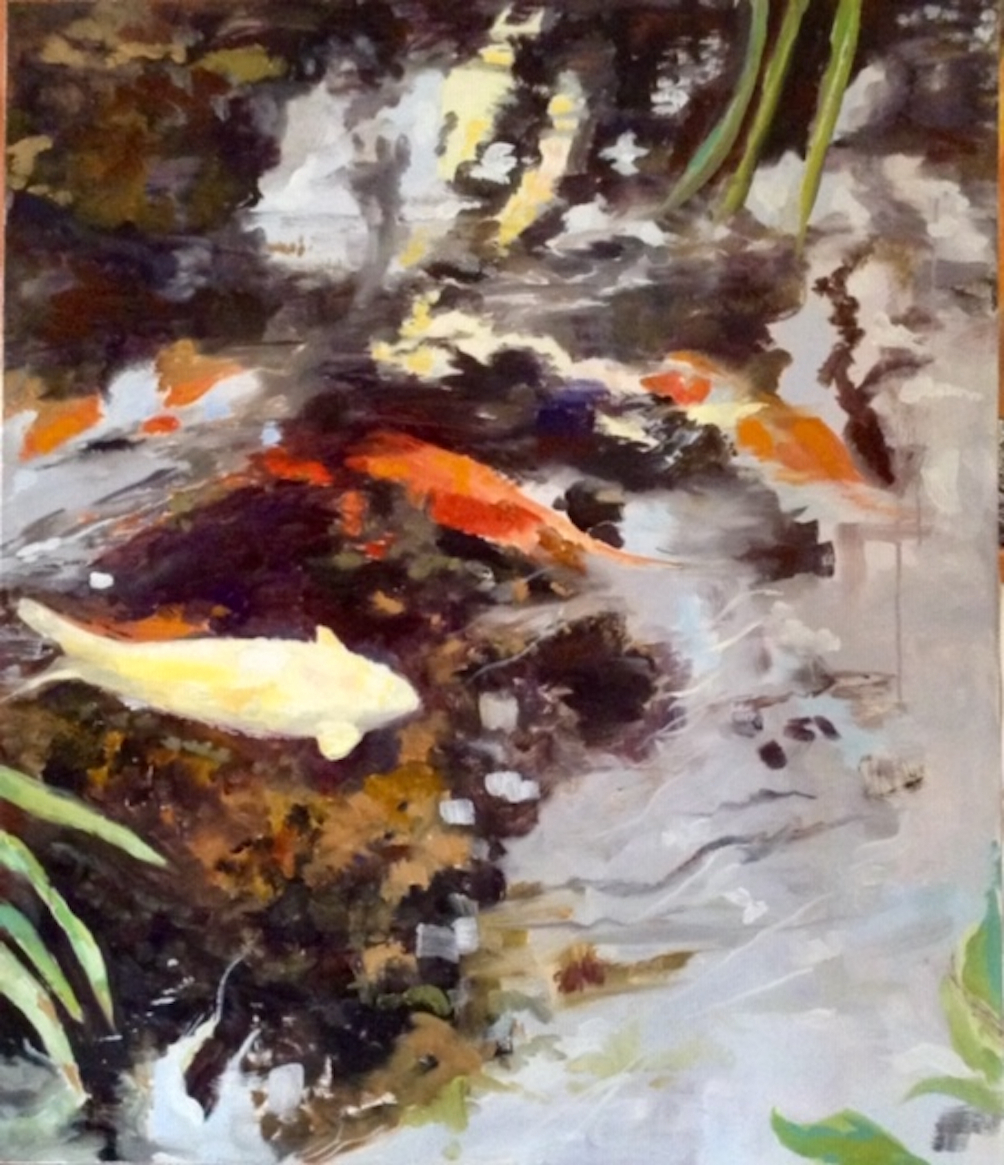 Image of - Koi Pond at Sherman Gardens