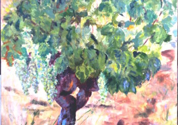 Image of - Ripe Grapes in Summer