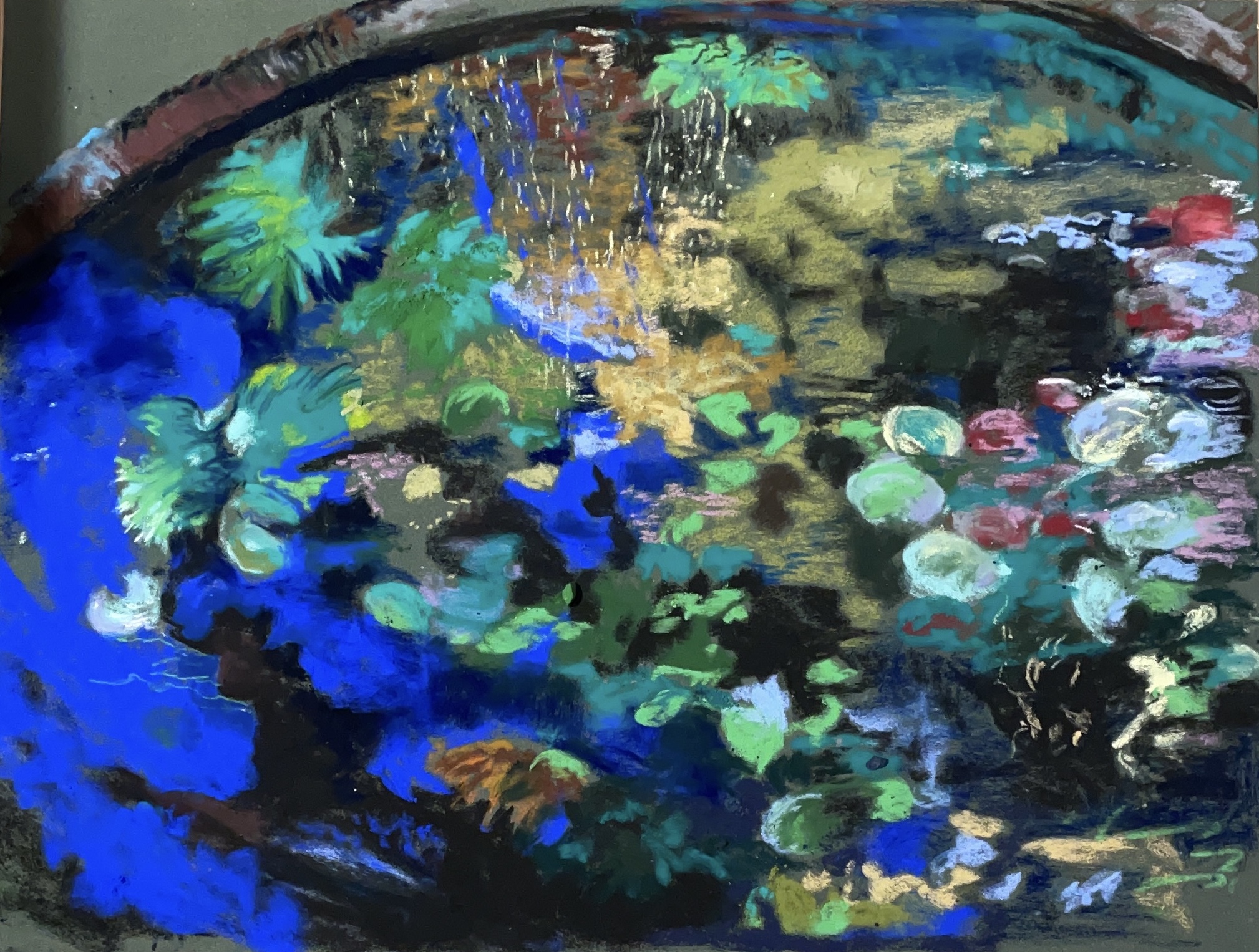Image of - Pond with Blue Reflections in Sherman Gardens