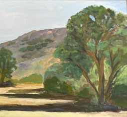 Plein Air Landscapes